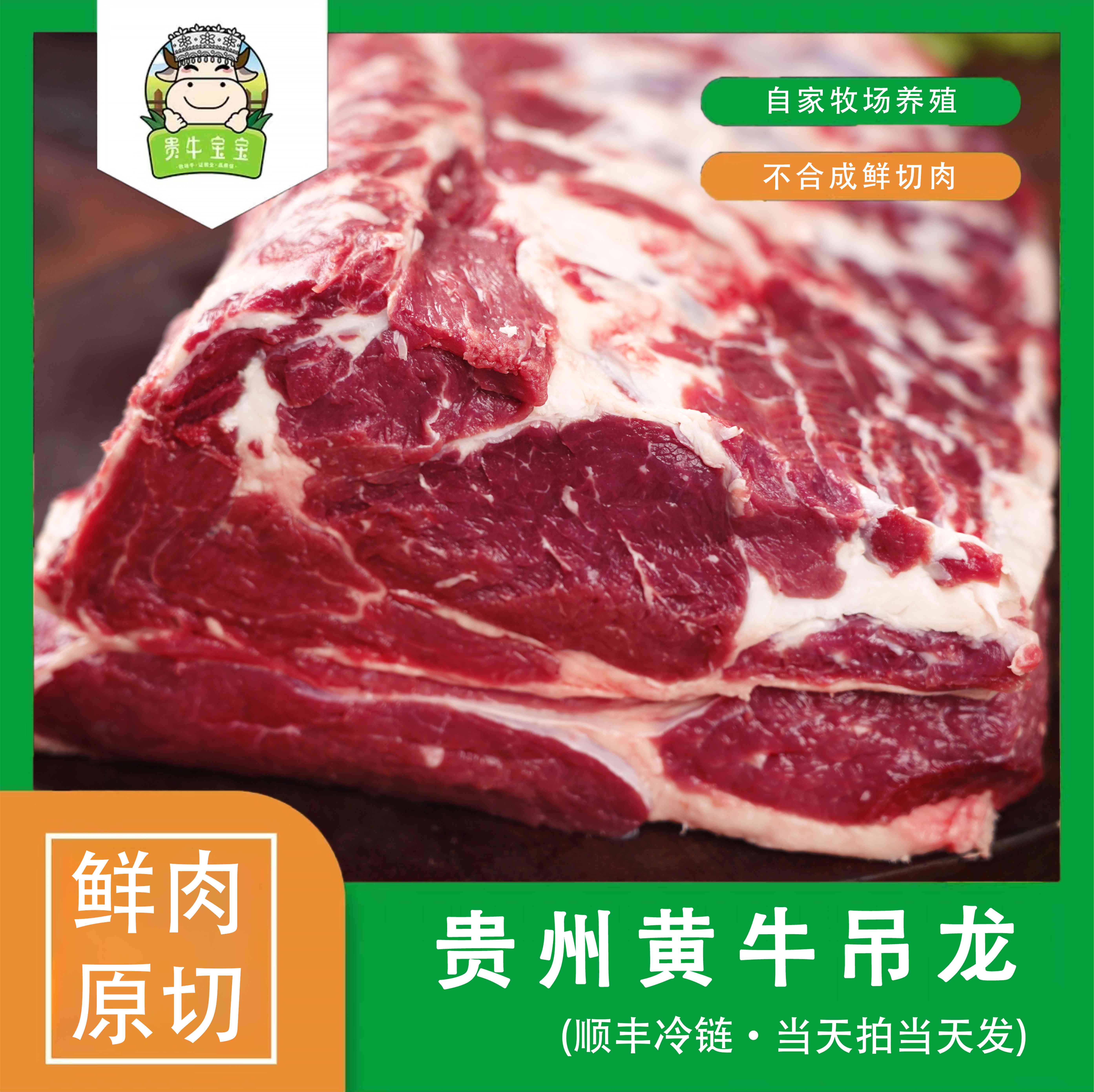 贵牛宝宝【吊龙】