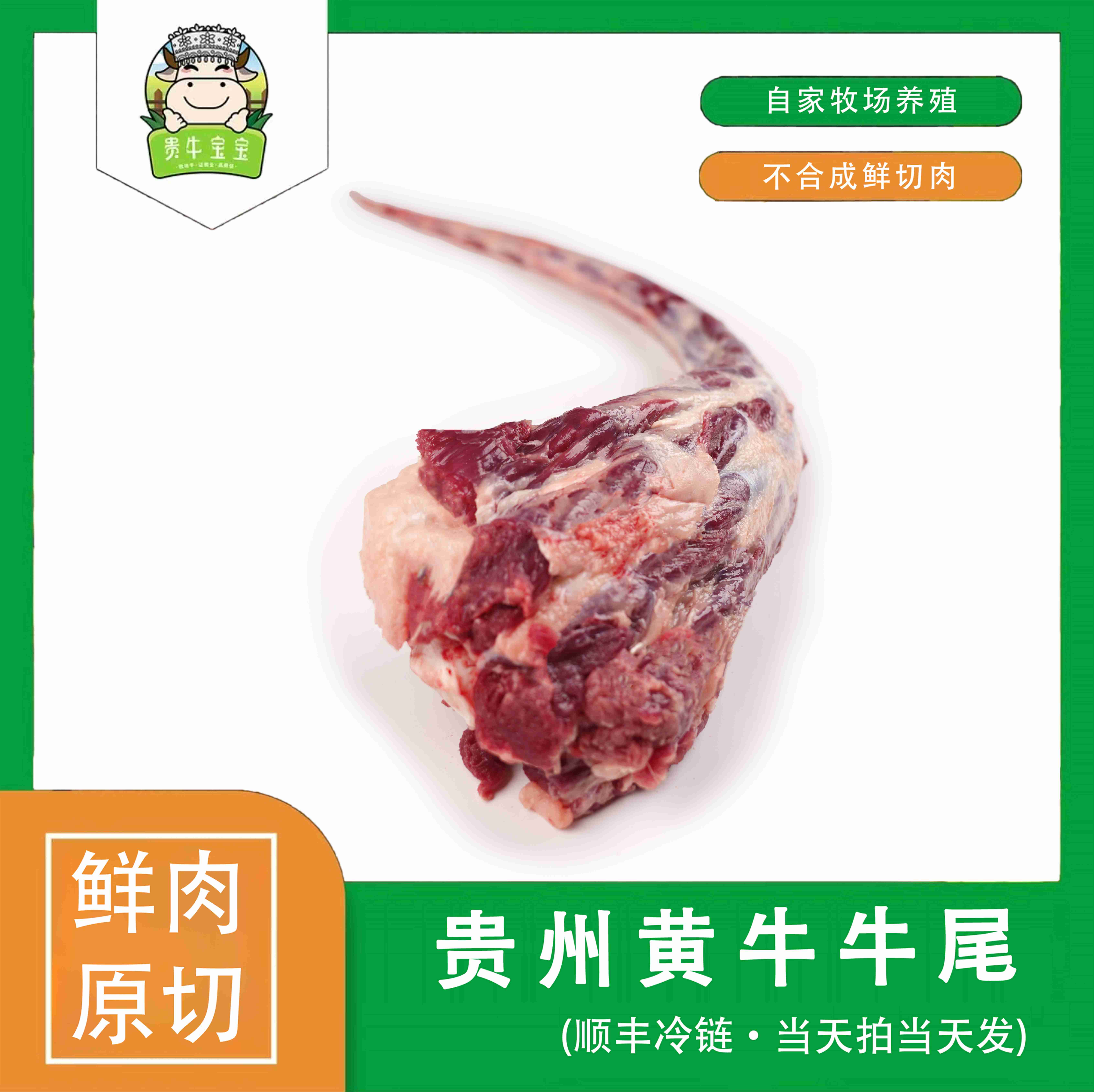 贵牛宝宝【牛尾巴】